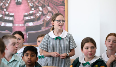 Role-play the Parliament: Senate