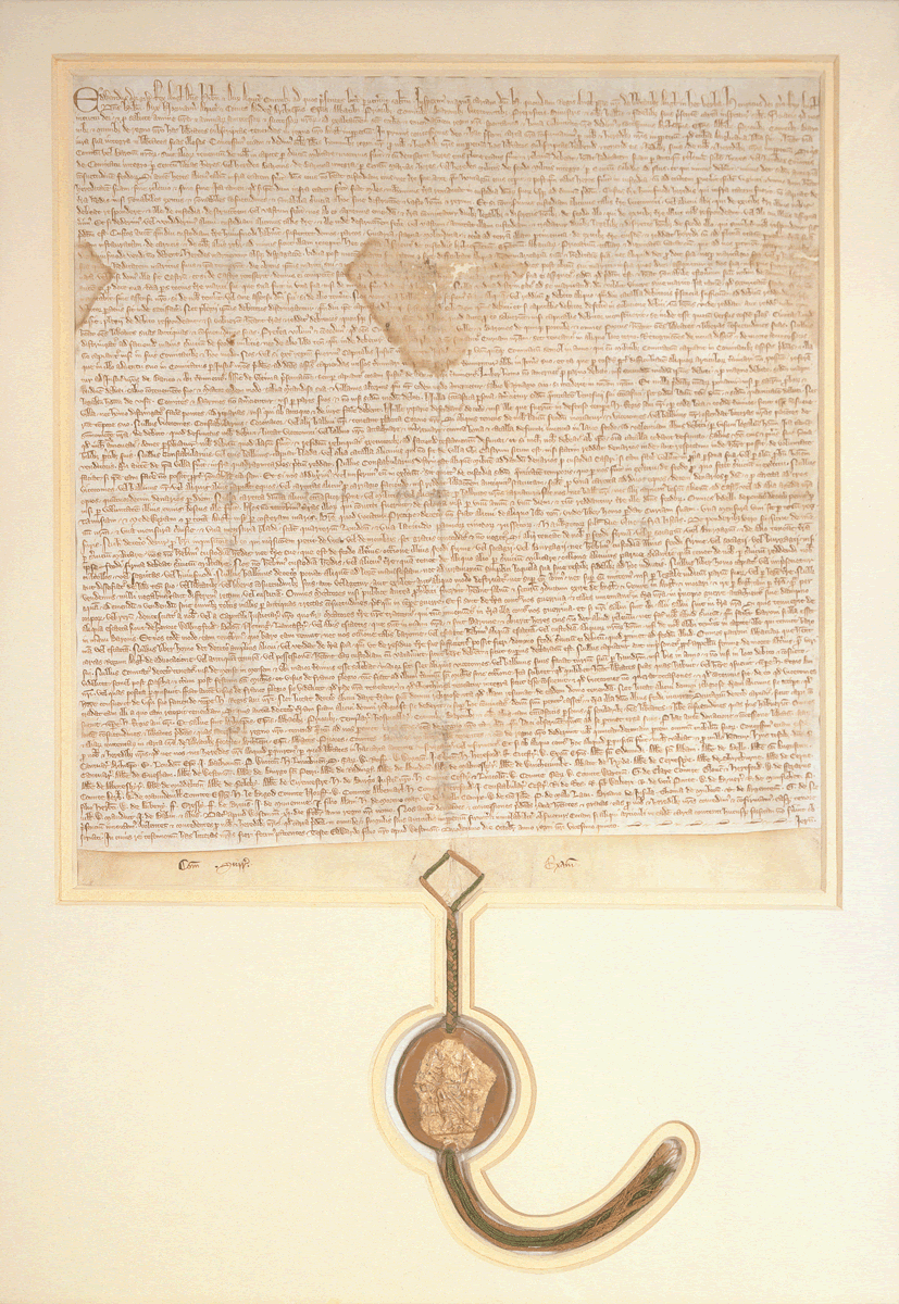 Magna Carta image