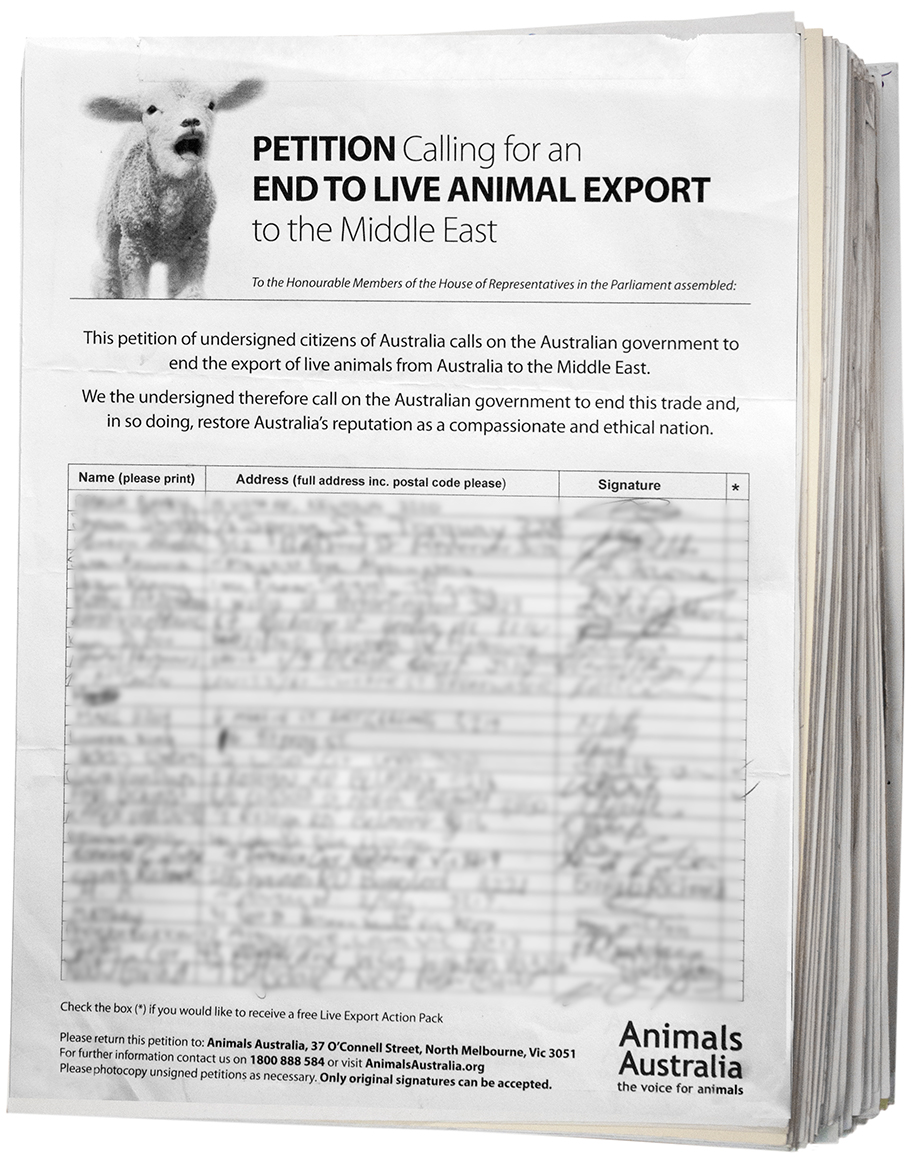 Petition to the Australian Parliament calling for the end to live animal exports to the Middle East. 