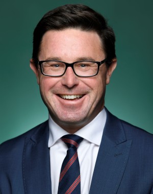 Portrait of The Hon David Littleproud MP